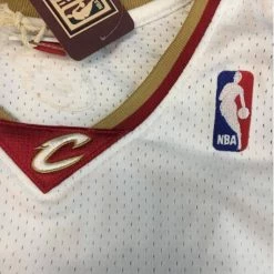 Mitchell & Ness LeBron James Jersey
