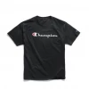 Champion Men's Classic T-shirt With Champion Script