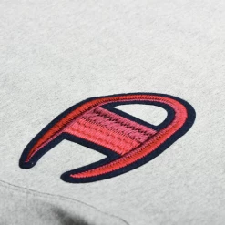 Champion Men's T-Shirt Classic 5.5