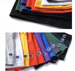 Champion Men's Classic T-shirt With Champion Script